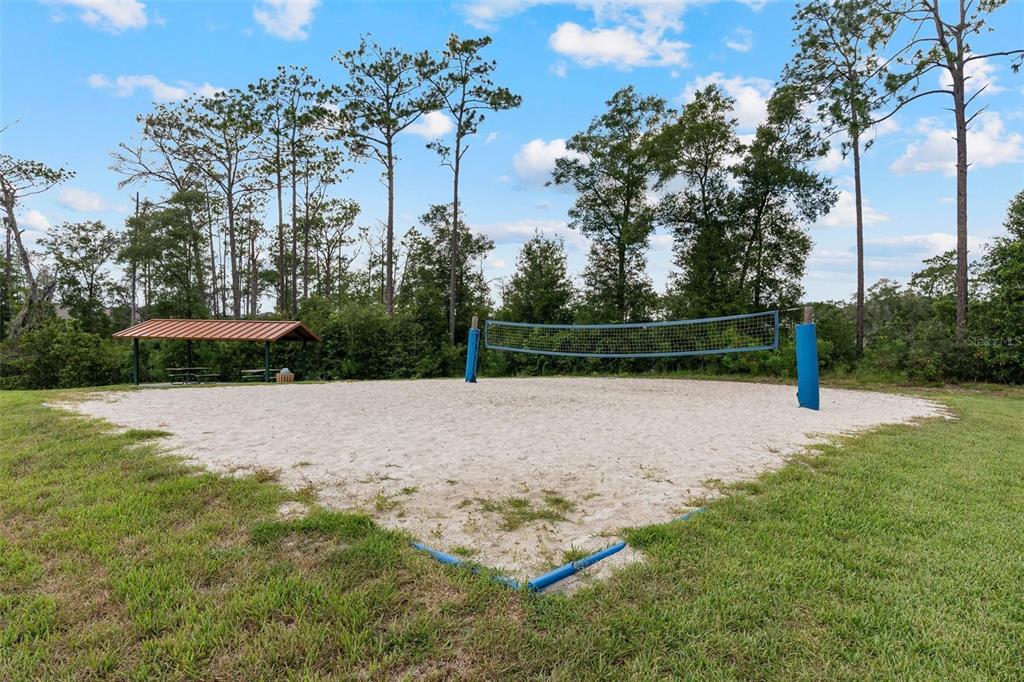 511 Baroness Way DeLand, FL 32724 - Photo 35 of 37 a view of backyard with green space