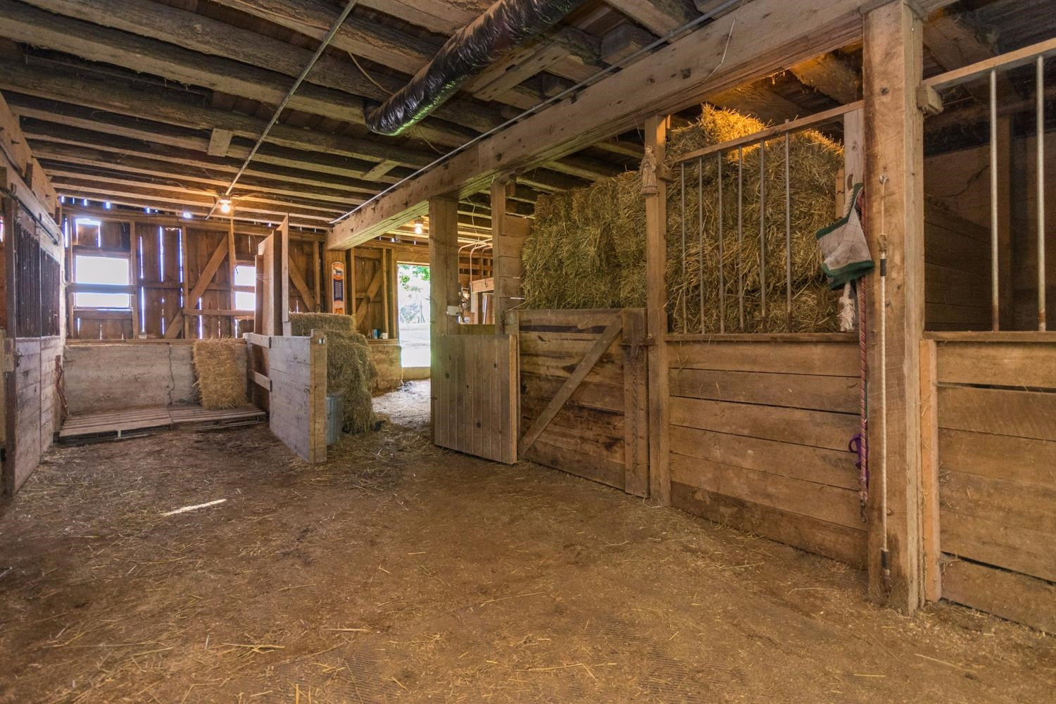 7640 Zeeb Road Dexter, MI 48130 - Photo 54 of 79 Photo 55