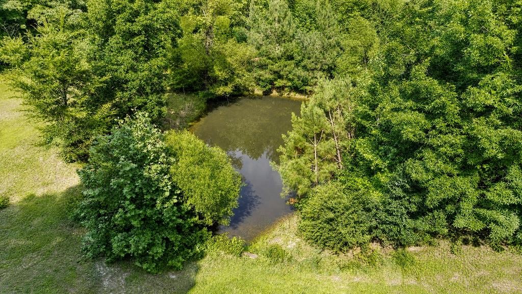 334 Wismer Road Camden, TN 38320 - Photo 39 of 44