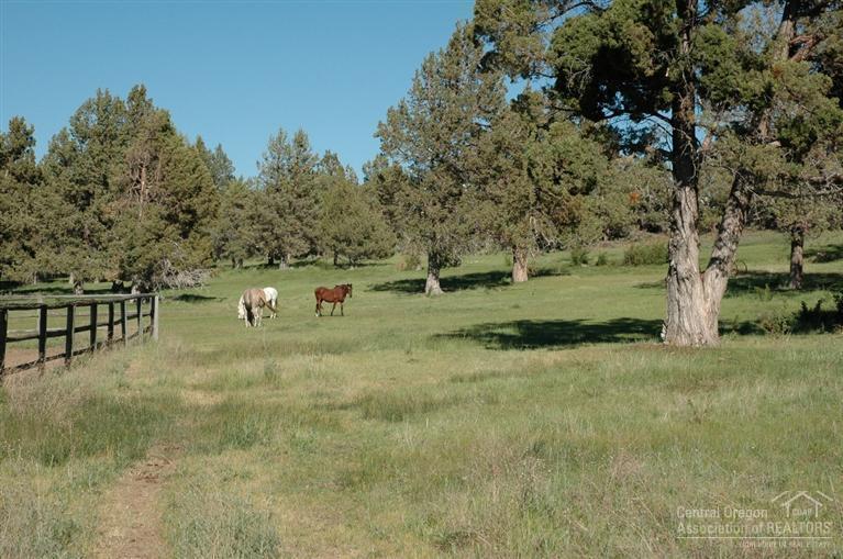 65685 Gerking Market Road Bend, OR 97703 - Photo 19 of 21 Pastures and terrain.