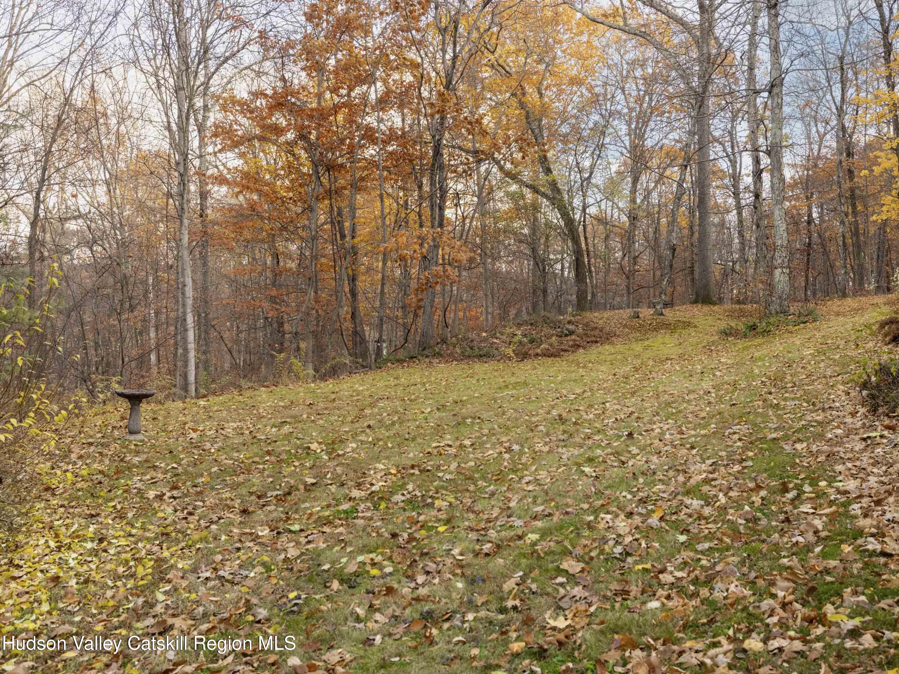 216 Starbarrack Road Red Hook, NY 12571 - Photo 39 of 45 a view of a yard with trees