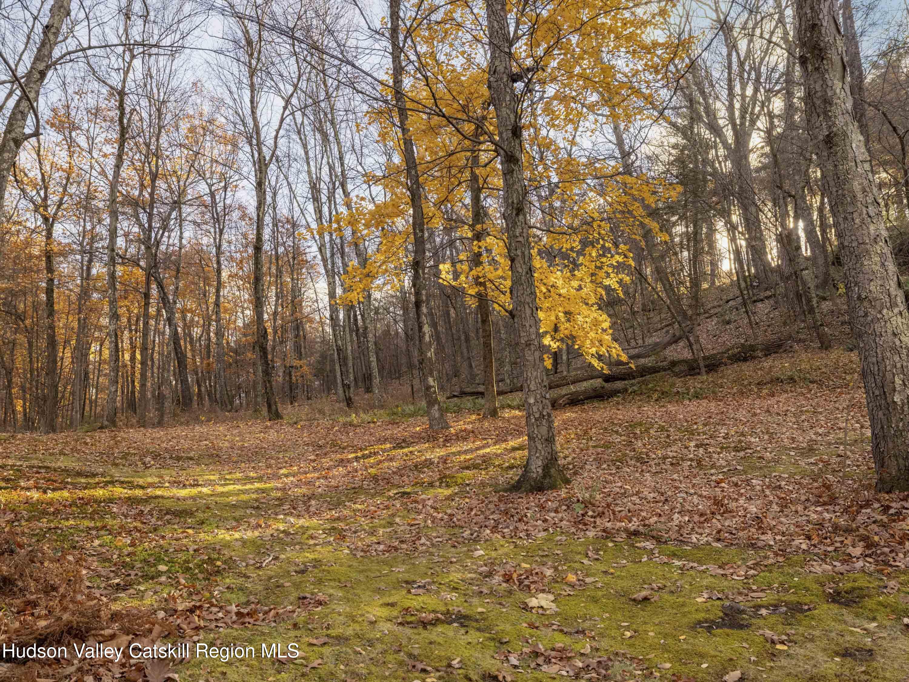 216 Starbarrack Road Red Hook, NY 12571 - Photo 40 of 45 a view of a backyard of the house