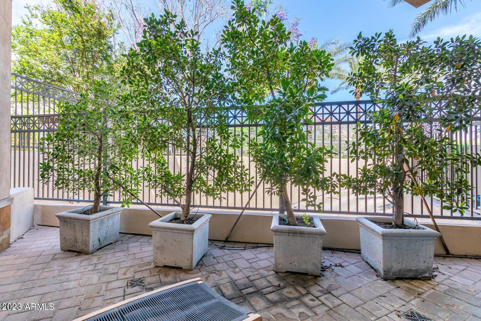 8 Biltmore Estate, Unit 114 Phoenix, AZ 85016 - Photo 18 of 22 Patio