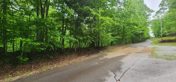 a view of a dirt road with trees in the background