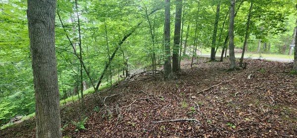a view of outdoor space and trees