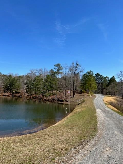 4 Hunter Ridge Ellijay, GA 30540 - Photo 10 of 24 Gallery Image 10