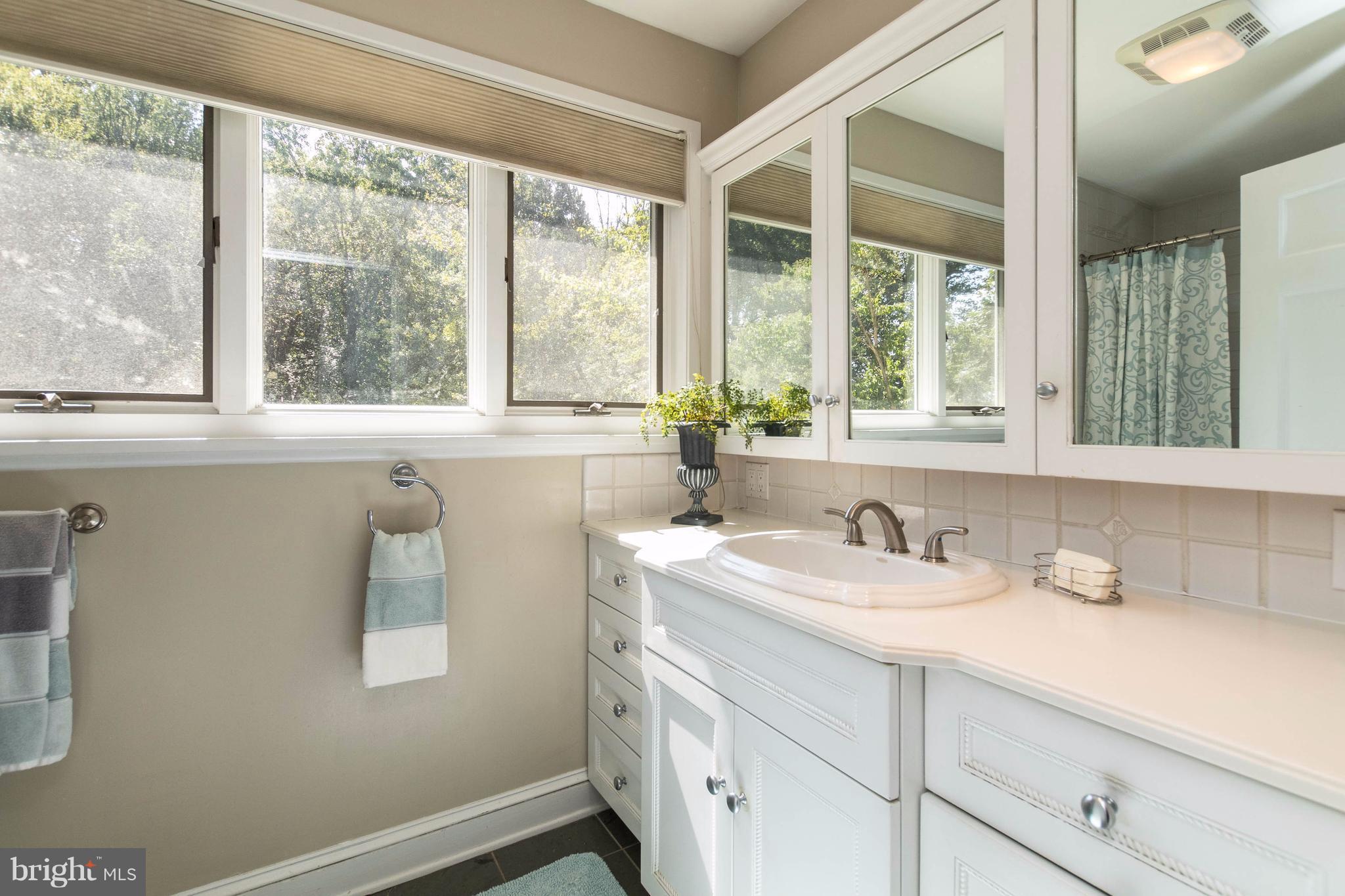 1105 Temfield Road Towson, MD 21286 - Photo 12 of 30 Bath (Master)