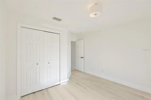 a view of a yard with plants and large trees