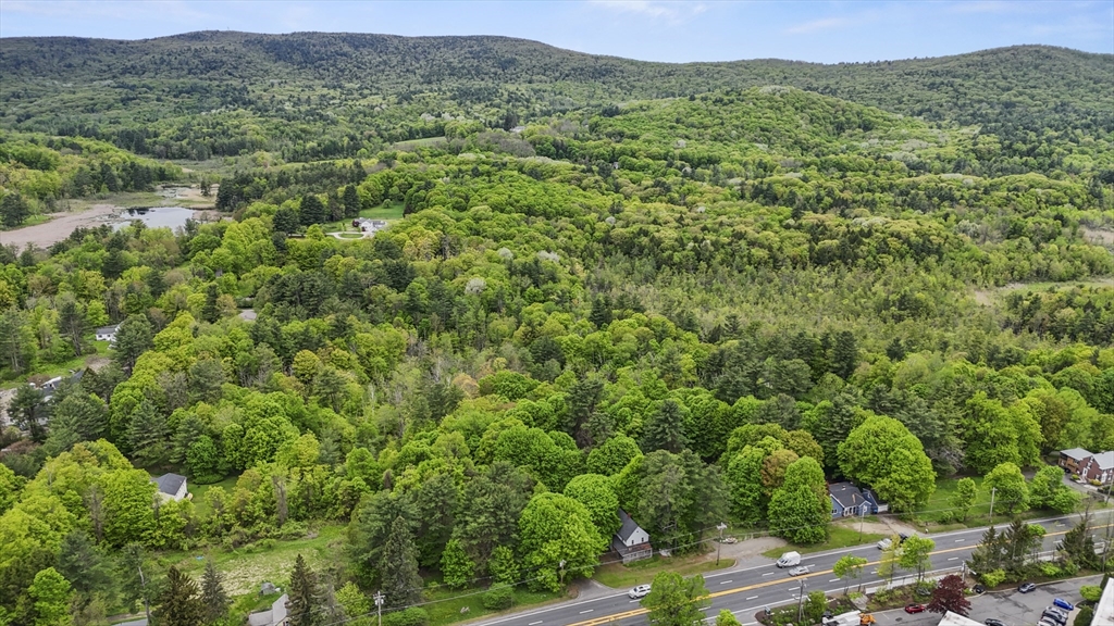 a view of a green field with lots of bushes
