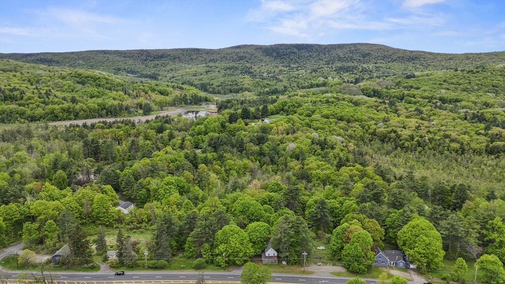 249 Pittsfield Road Lenox, MA 01240 - Photo 4 of 5 a view of a lush green forest with trees in the background