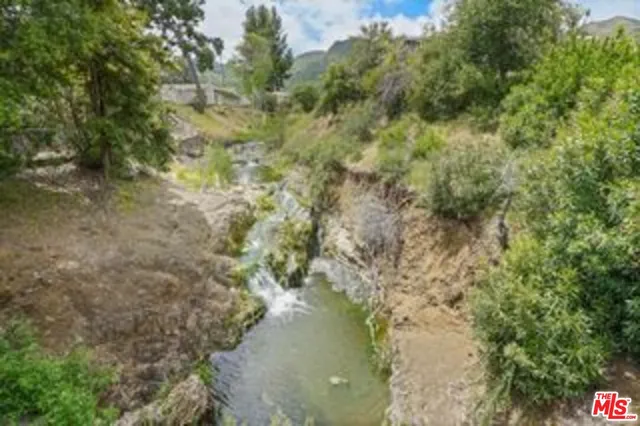 a view of a lush green forest with trees in the background