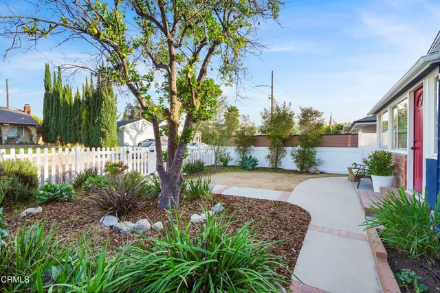 a view of a garden with plants