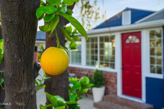 a view of a house with a backyard