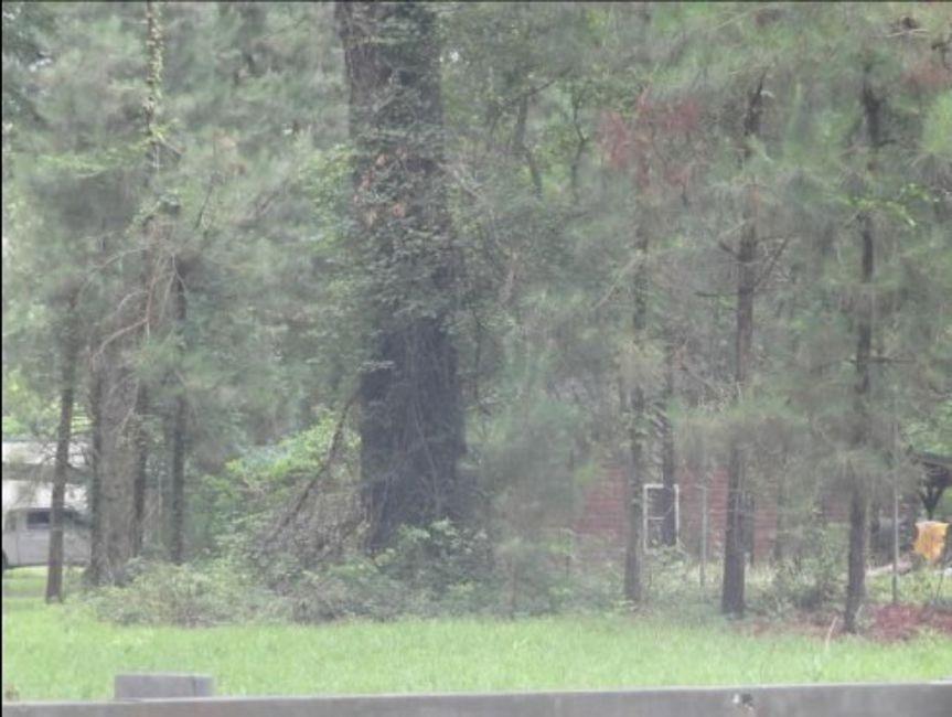 232 Mathes Road Doyline, LA 71023 - Photo 2 of 2