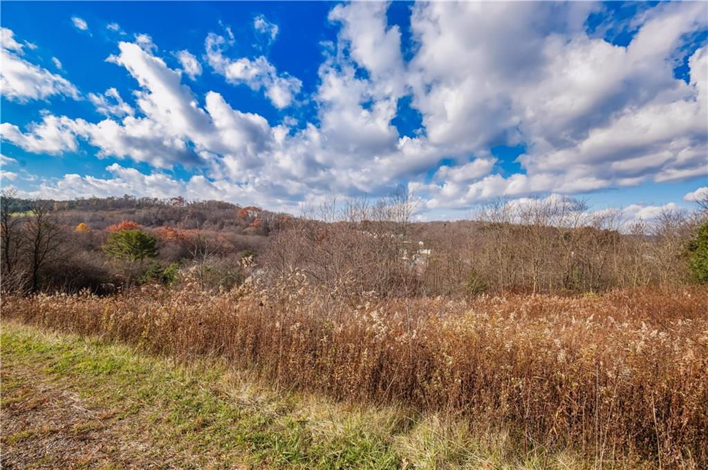 4 Oak Crest Drive Stoystown, PA 15563 - Photo 3 of 14