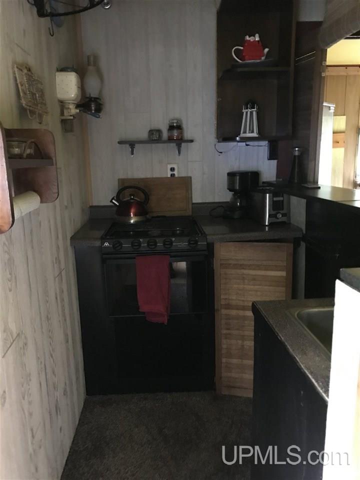23884 East Co Road Grand Marais, MI 49839 - Photo 10 of 36