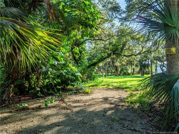a view of a yard with plants and trees