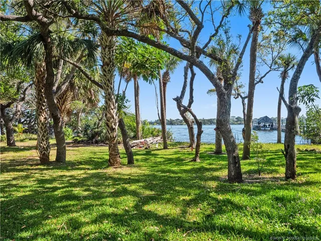 a view of a yard with plants and trees