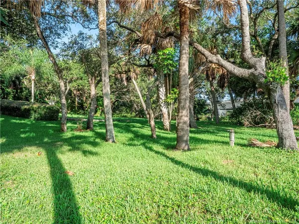 a view of a park with large trees