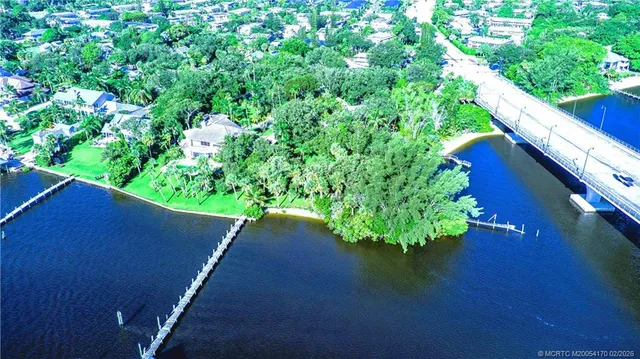 a view of a garden with plants in backyard