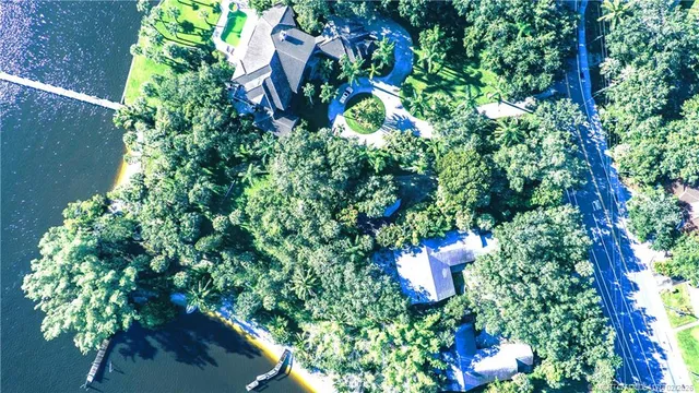 a close up of a flower in a garden