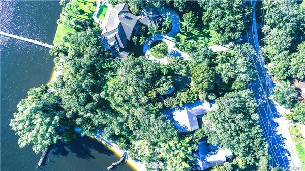 a close up of a flower in a garden