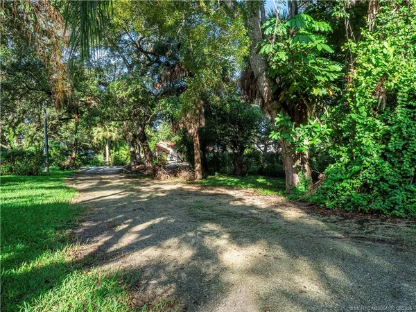 a view of a tree in the middle of a yard
