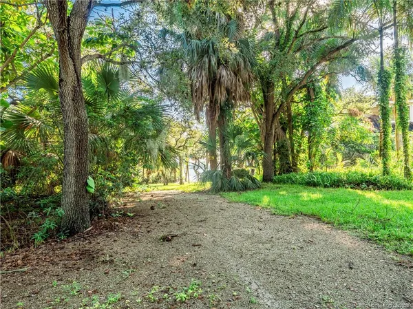 a view of a yard with plants and large trees