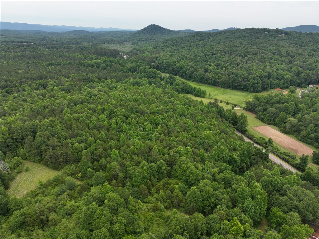 501 A Midway Road Pickens, SC 29671 - Photo 11 of 17