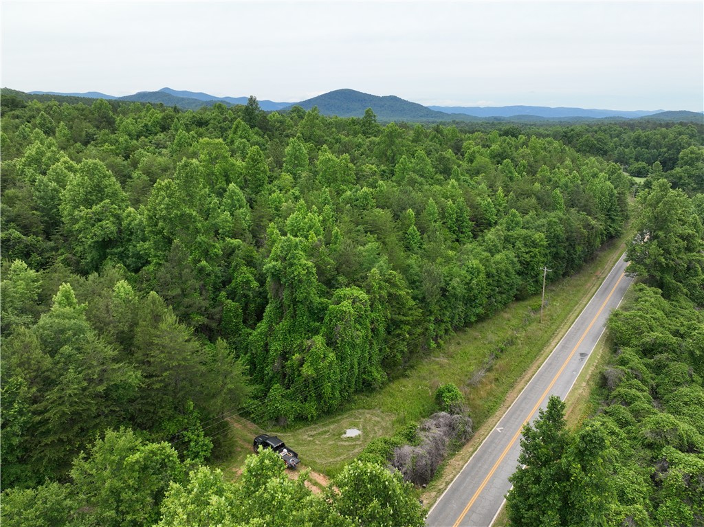 501 A Midway Road Pickens, SC 29671 - Photo 2 of 17