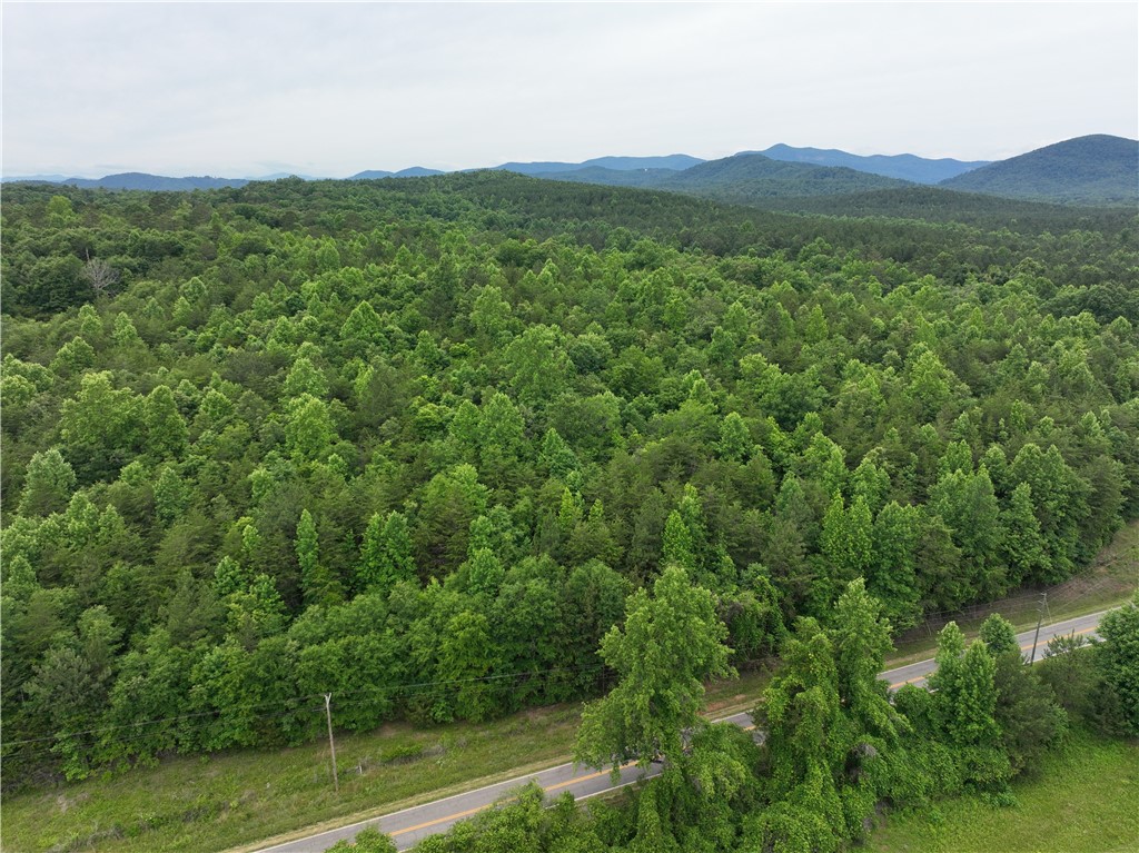 501 A Midway Road Pickens, SC 29671 - Photo 3 of 17