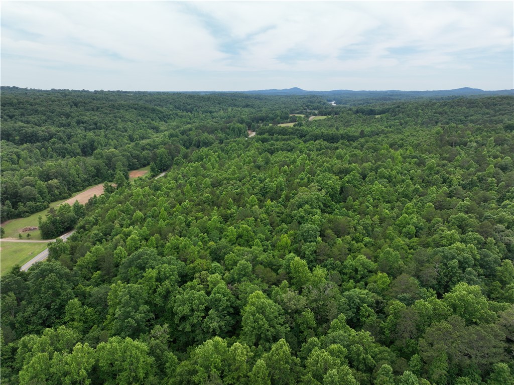 501 A Midway Road Pickens, SC 29671 - Photo 6 of 17