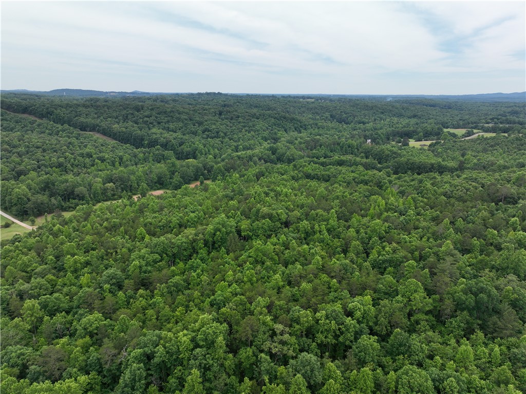 501 A Midway Road Pickens, SC 29671 - Photo 7 of 17