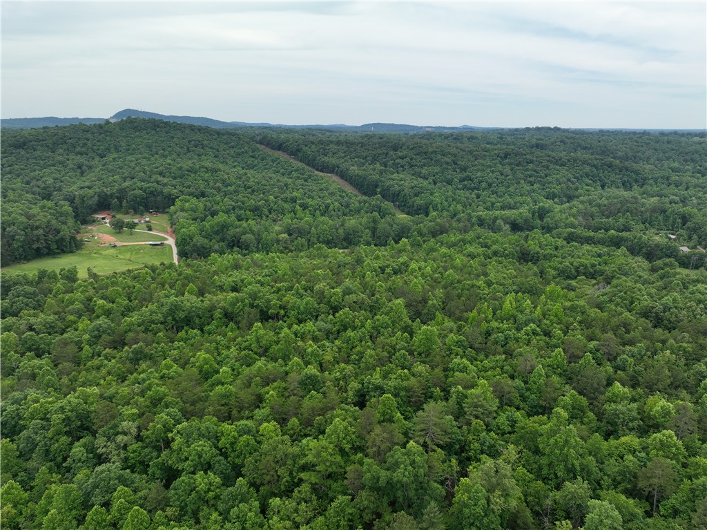 501 A Midway Road Pickens, SC 29671 - Photo 8 of 17