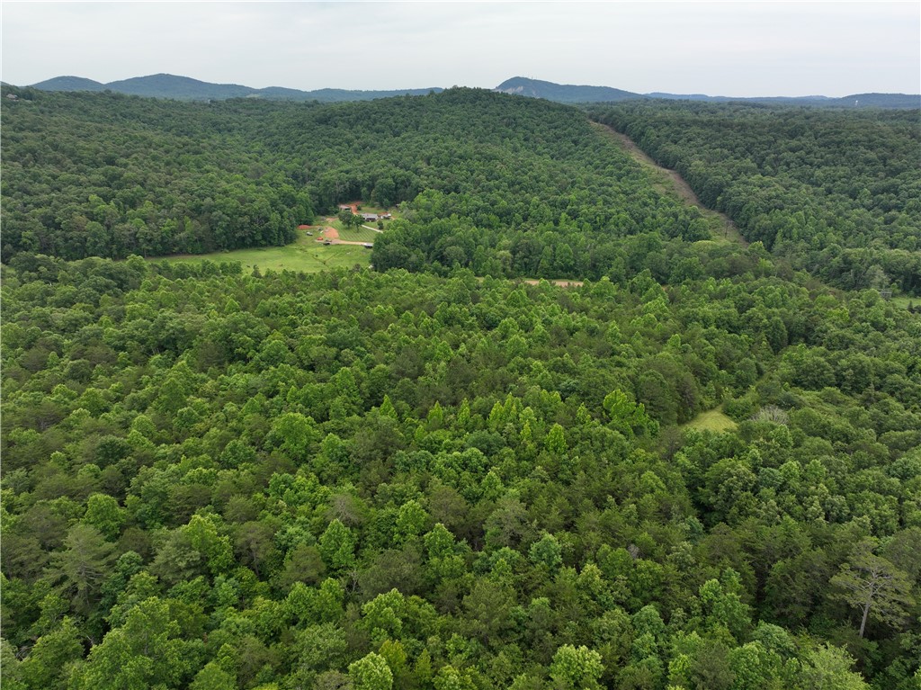 501 A Midway Road Pickens, SC 29671 - Photo 9 of 17