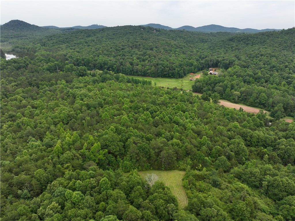 501 A Midway Road Pickens, SC 29671 - Photo 10 of 17