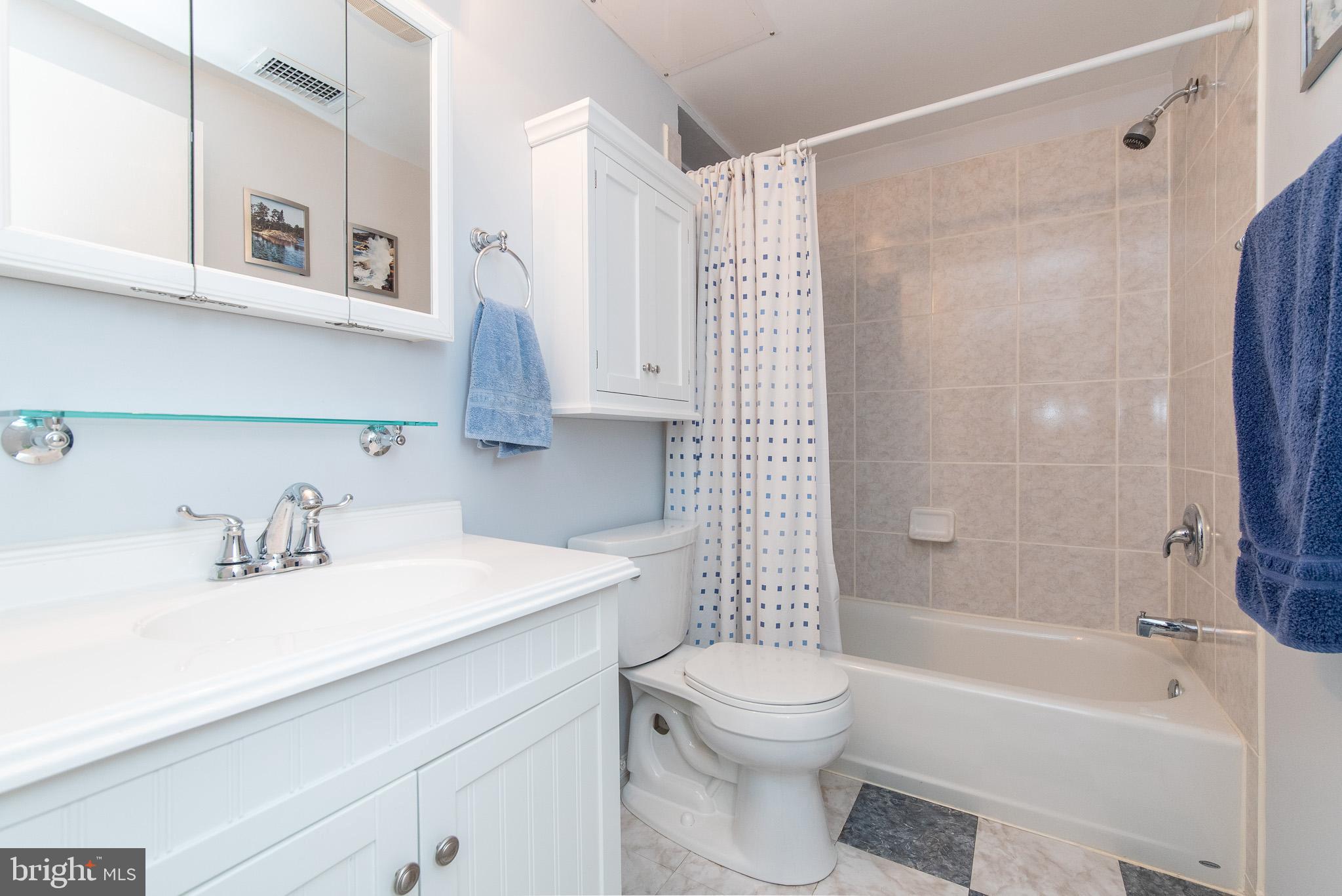 4310 Camellia Road Baltimore, MD 21236 - Photo 11 of 55 LL Full Bath