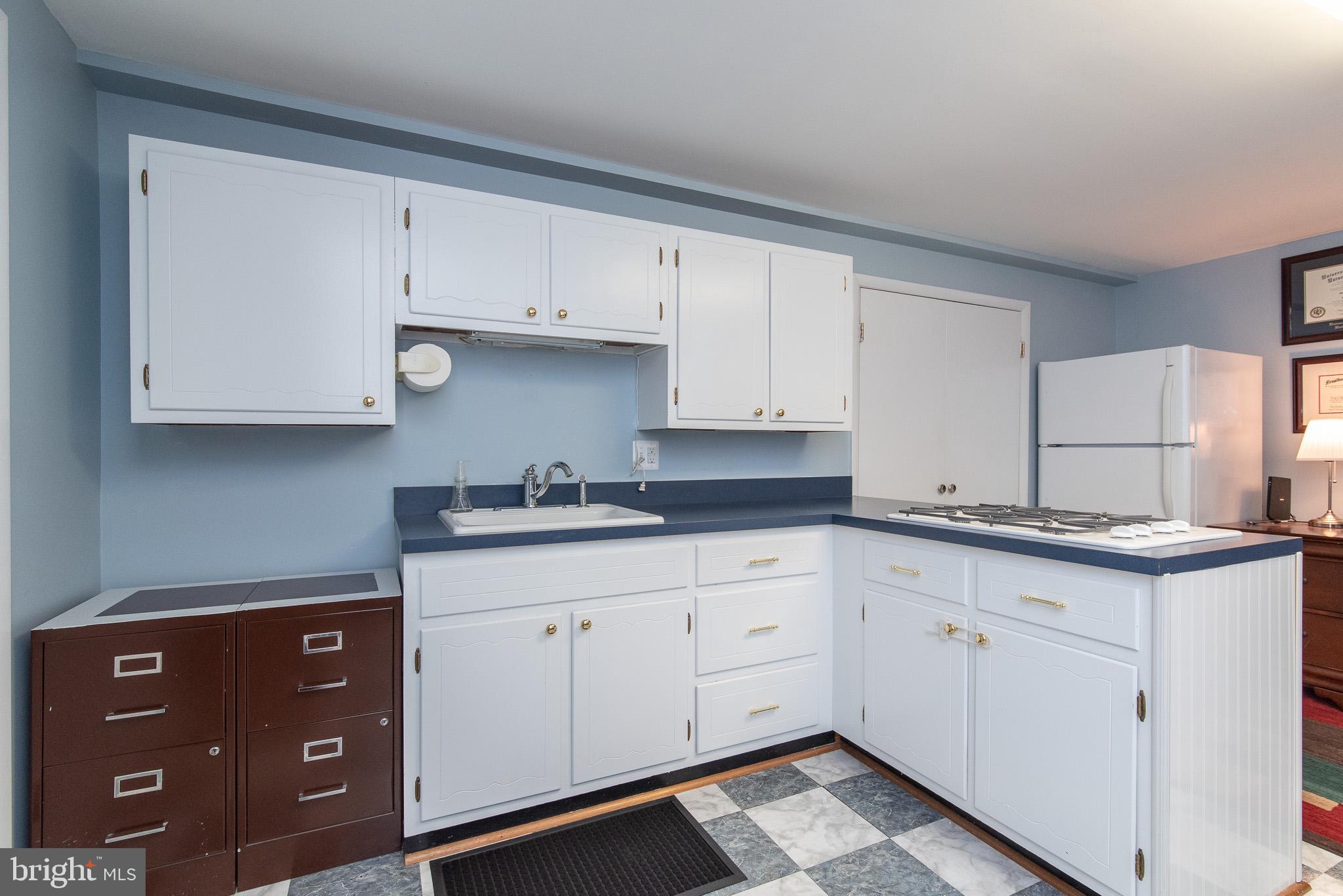 4310 Camellia Road Baltimore, MD 21236 - Photo 10 of 55 LL 2nd Kitchen for In-law or pool parties