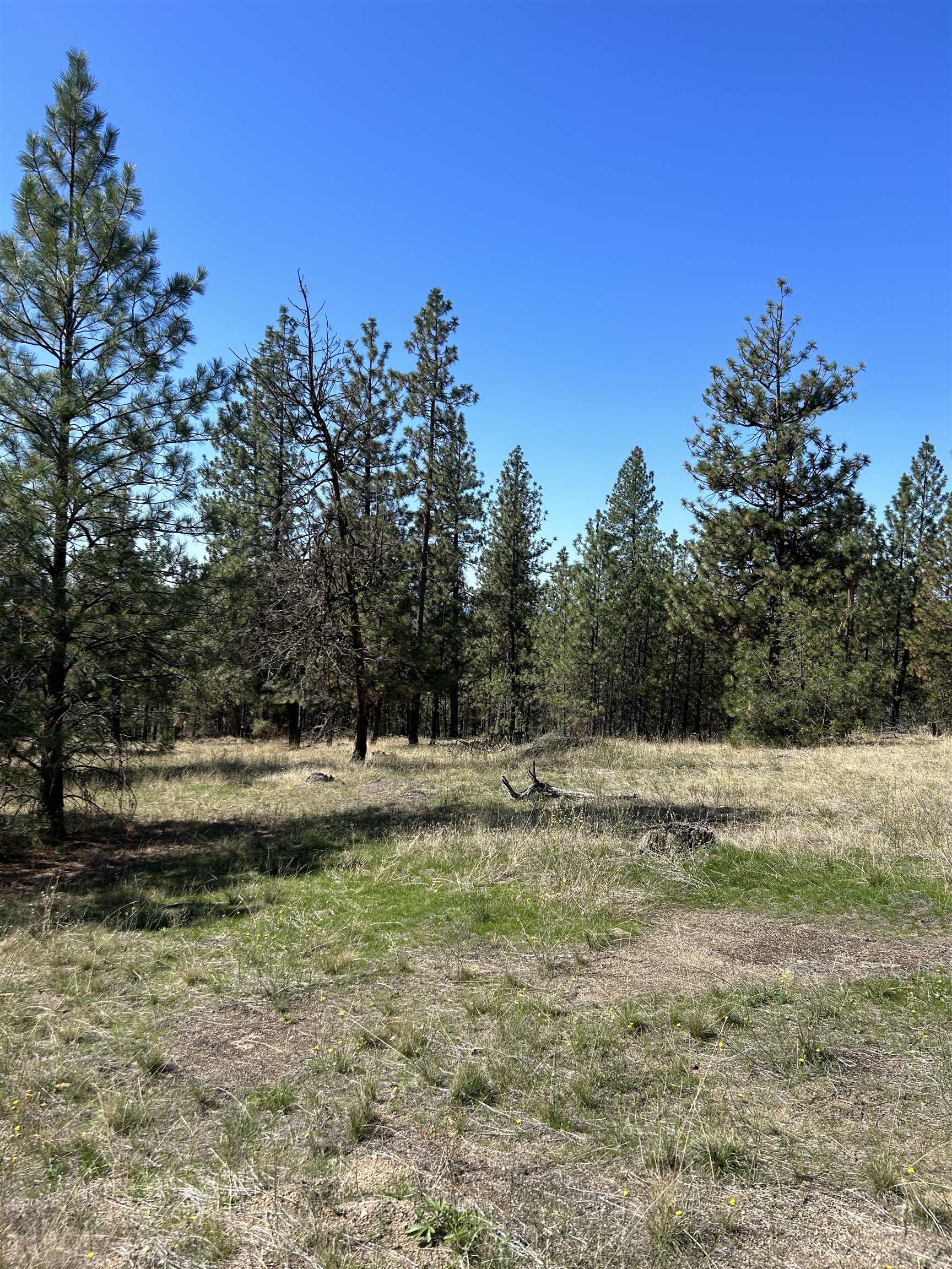 Nna Corkscrew Canyon Road Tumtum, WA 99034 - Photo 7 of 41 Gallery Image 7