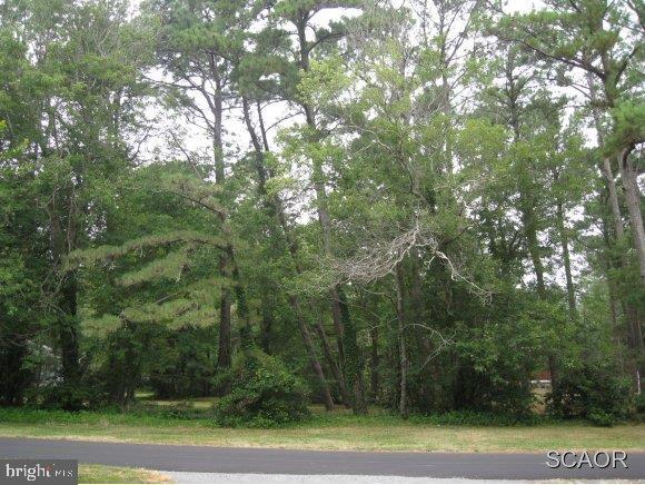 7 Rolling Road Rehoboth Beach, DE 19971 - Photo 3 of 9 Gallery Image 3