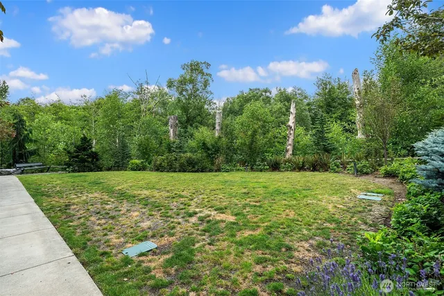 a view of a big yard with lots of green space