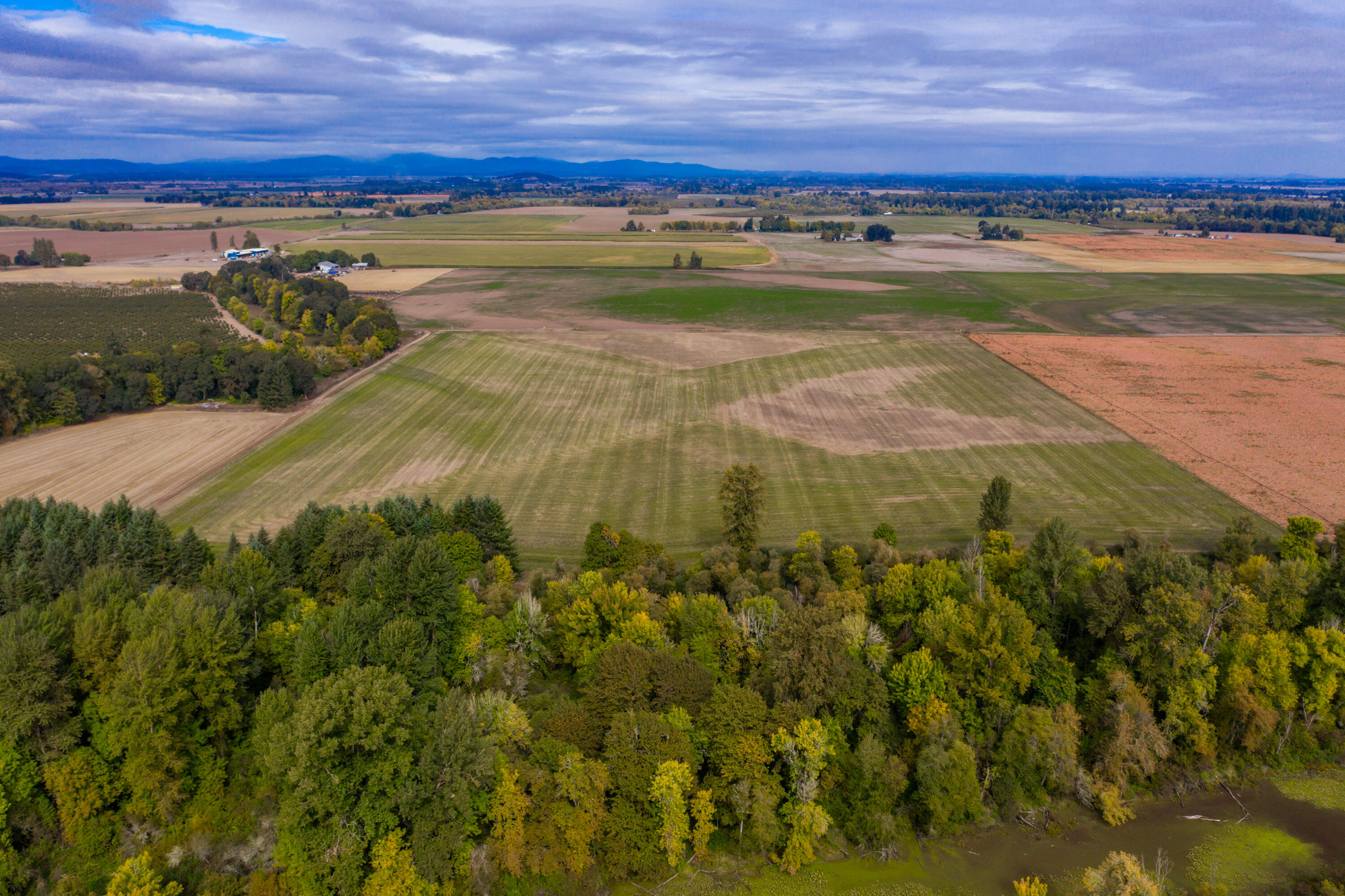 26527 Old River Road Monroe, OR 97456 - Photo 16 of 22 Export-0077