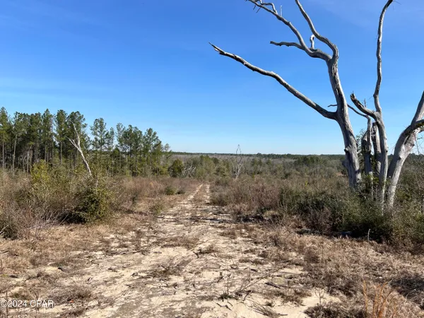 $289,000 | 0 James Luther Street, Ponce de Leon, FL 32455