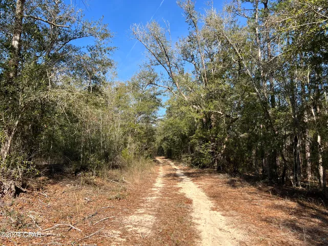 $289,000 | 0 James Luther Street, Ponce de Leon, FL 32455