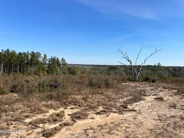 $289,000 | 0 James Luther Street, Ponce de Leon, FL 32455