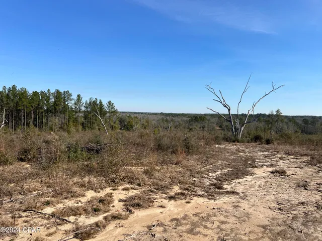 $289,000 | 0 James Luther Street, Ponce de Leon, FL 32455