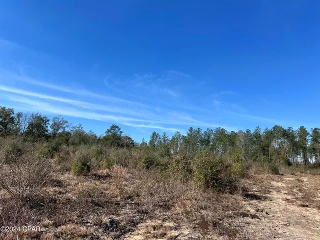 $289,000 | 0 James Luther Street, Ponce de Leon, FL 32455