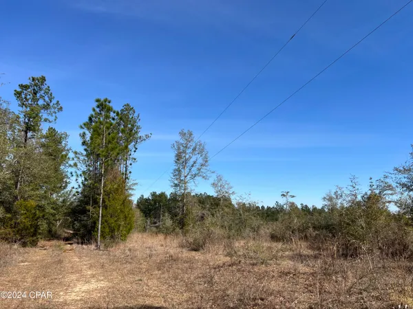 $289,000 | 0 James Luther Street, Ponce de Leon, FL 32455