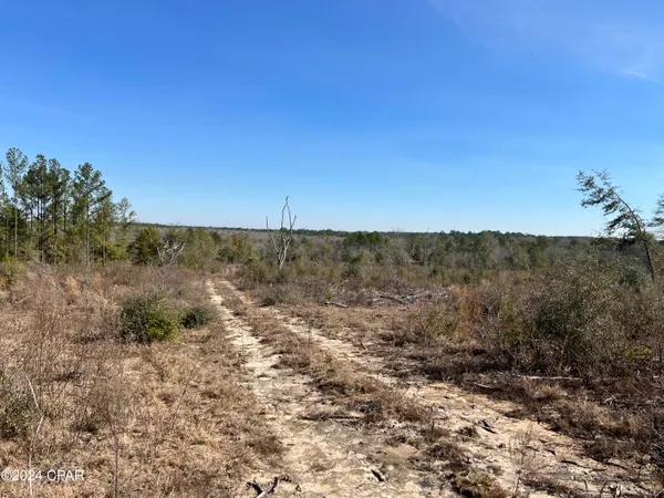 $289,000 | 0 James Luther Street, Ponce de Leon, FL 32455