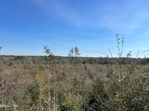 $289,000 | 0 James Luther Street, Ponce de Leon, FL 32455
